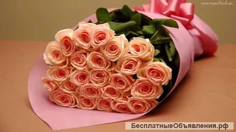 Сиделка для бабушки 81год