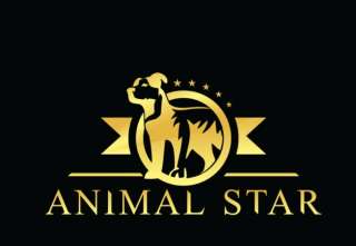 Школа груминга AnimalStar Санкт-Петербург