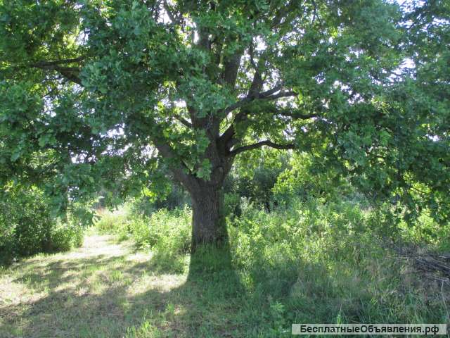 Дом в д.Мишнево (недостр)-кирпич +37 соток. Камешковский р-он. рядом р.Клязьма.