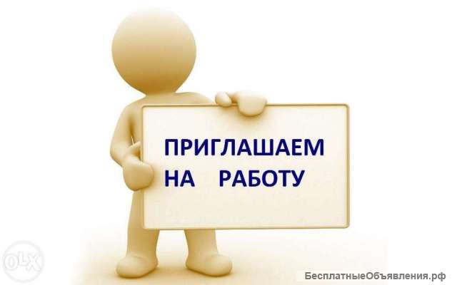 Сотрудник в кадровый отдел