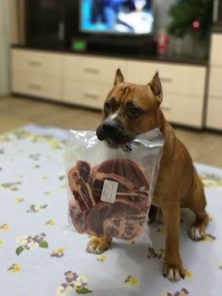 Натуральные корма для собак и кошек