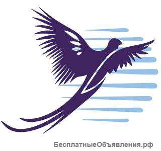 Агентство Горящих туров Sp-Travel