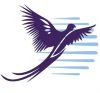 Агентство Горящих туров Sp-Travel