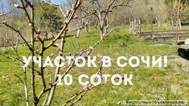 Отличный участок в Сочи - 10 соток под строительство дома
