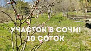 Отличный участок в Сочи - 10 соток под строительство дома