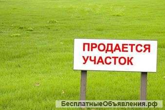 Три дачных участка в "Новозбурьевке"