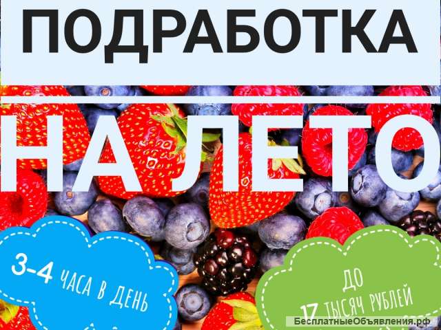 Работа для матерых и подработка для студентов