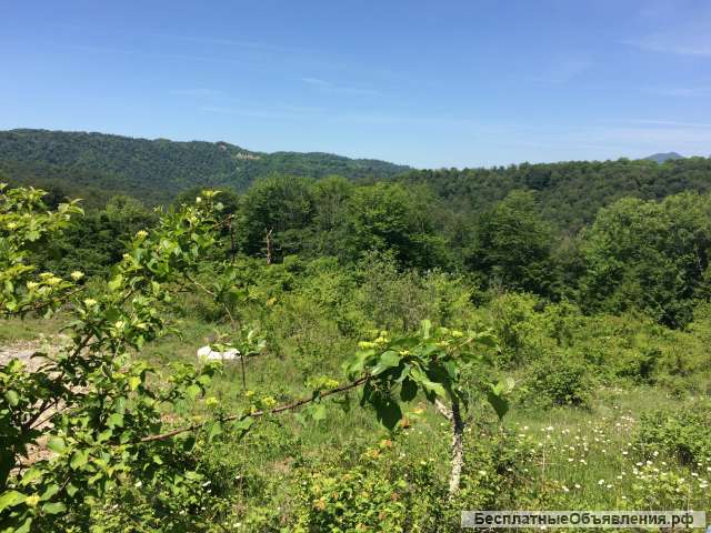 З/у 81 сот в Сочи