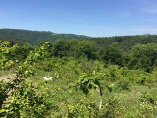 З/у 81 сот в Сочи