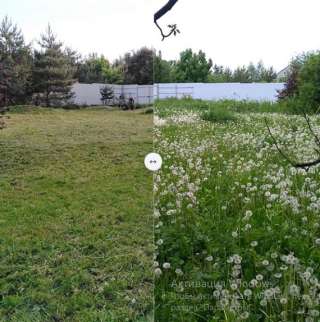 Покос травы в Краснодаре