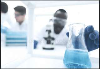 Требуется главный технолог