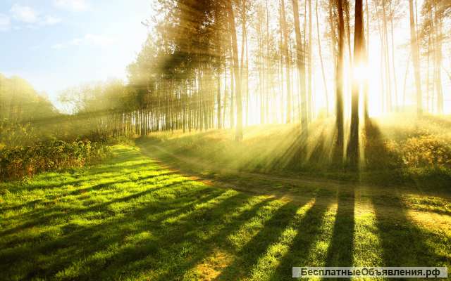Помогу дистанционно, если нет возможности приехать, обращаться в вацап