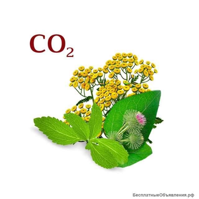 Готовые комплексы СО2 экстрактов