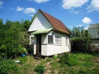 Дача с плодовыми деревьями и кустами, лес, пруд, транспорт