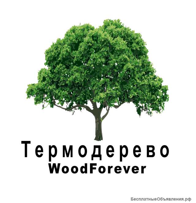 Термодерево