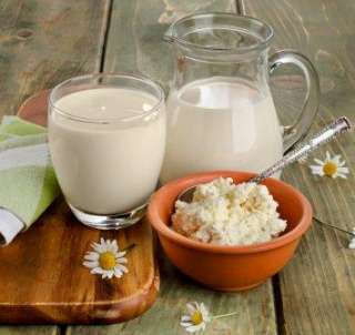 Молоко и молочные продукты