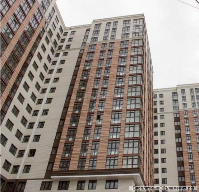 1к Толстого 130 за 2 650 т.р.