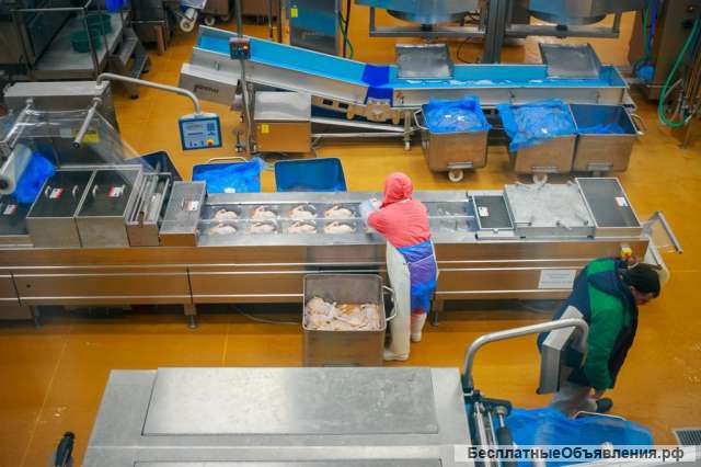 Упаковщики. вахта