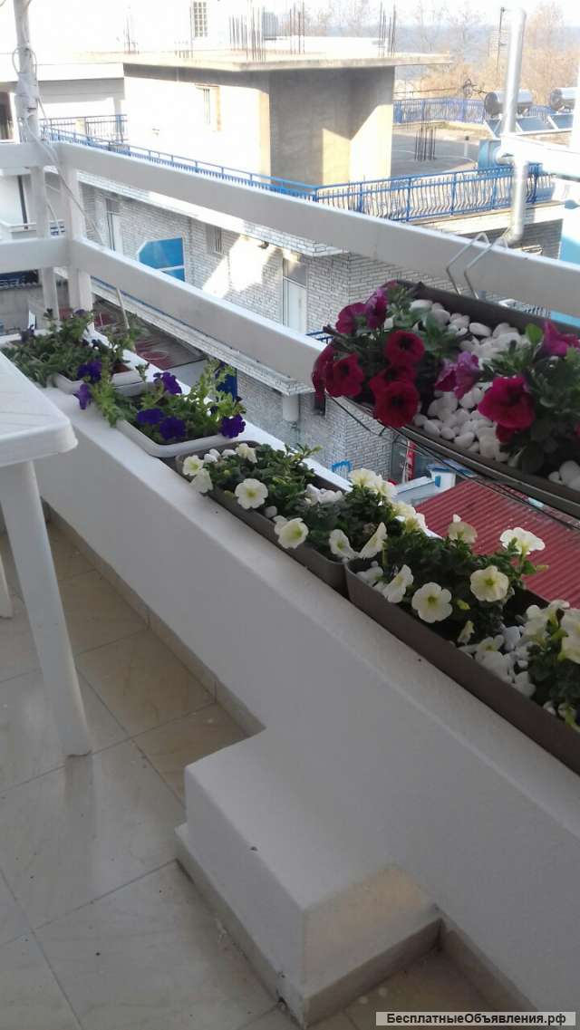 Квартира в OLIMPIK BEACH - одна с видом на море-Греция
