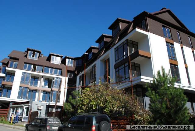 Квартиру свободной планировки в Красной Поляне