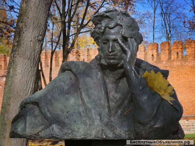 Частные экскурсии на автомобиле с гидом по Смоленску