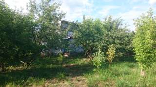 Участок 8 соток