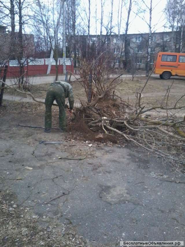 Уборка территории Москва и область