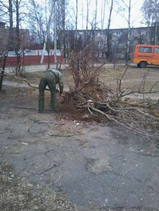 Уборка территории Москва и область