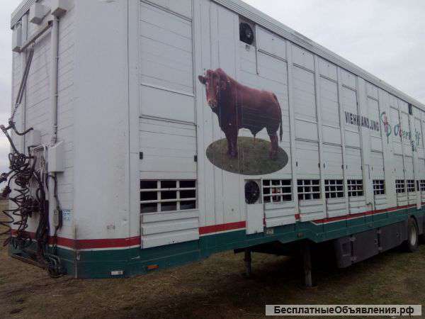 Полуприцеп скотовоз