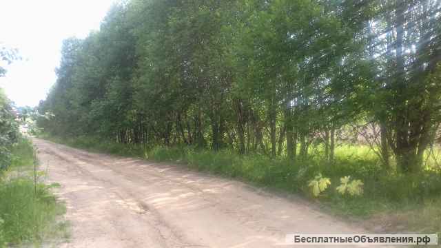 30 соток у Озернинского водохранилища. Лпх, свет на участке. Рядом лес