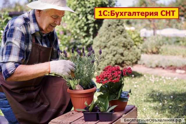 Программа 1С для СНТ