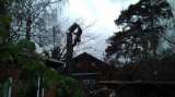 Расчистка участка, удаление, спил, валка деревьев в Дедовске