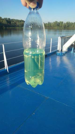 Дизельное топливо