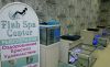 Ихтиомассаж в Fish Spa Center в Петербурге