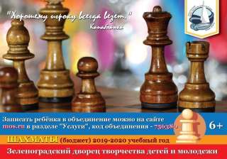 Шахматы для детей