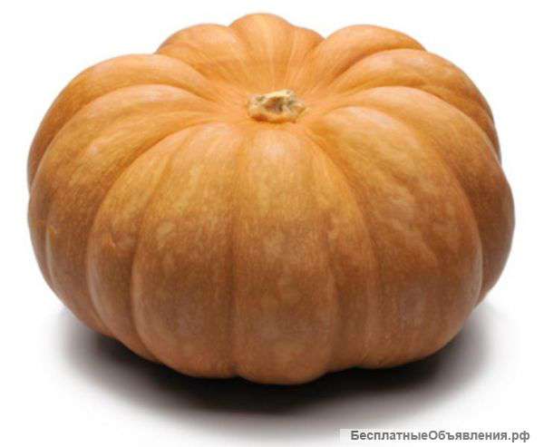 Тыква оптом, цена 5 руб. за кг