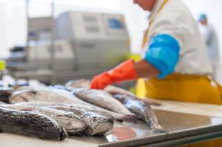 Фасовщик/Упаковщик рыбной продукции