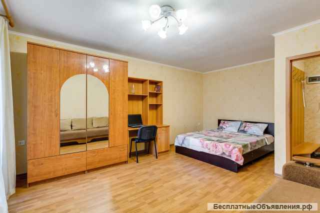 Уютная 1к квартира посуточно, ЦГБ