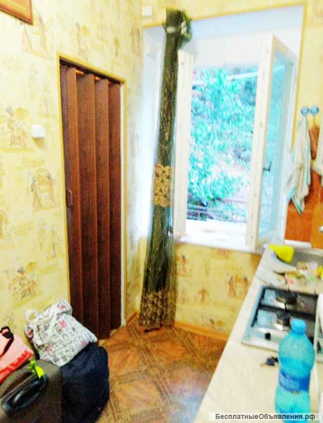 Курпаты.Квартира вблизи моря