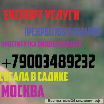 Самая лучшая игрушка в 2019 году