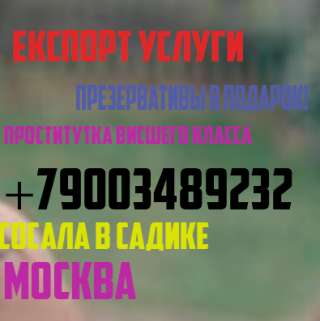 Самая лучшая игрушка в 2019 году