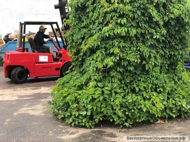 Новое поступление погрузчиков: BALKANCAR ДВ1792