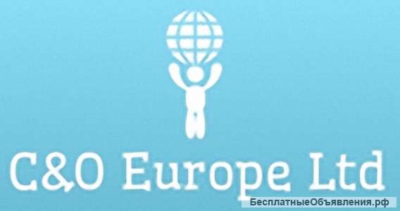 Работа в Норвежской компании