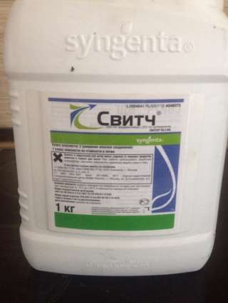 Фунгициды от болезней растений. сада, огорода и домашних растений.