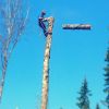 Удаление деревьев в Наро-Фоминске