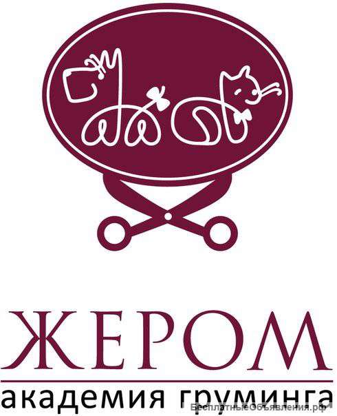 Приглашаем на на курсы стрижки собак и кошек