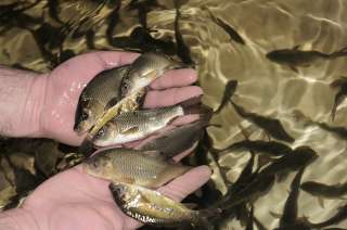 Нужна финансовая помощь