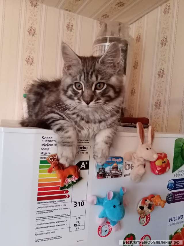 Все виды сантехнических работ