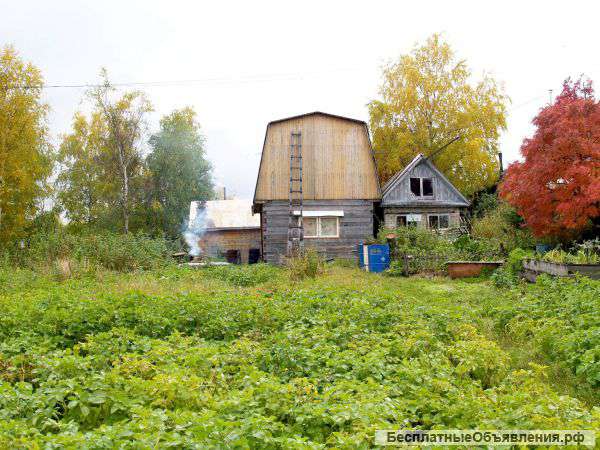 Дача в СОТ "Мега-84", р-н ГПЗ, на берегу продается
