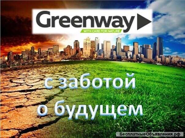 Менеджер развития сети